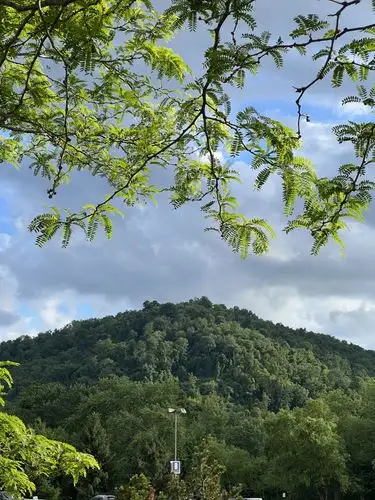 Green serenity under a vast, cloud-streaked sky.
